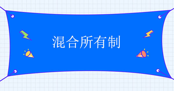 混合所有制改革咨詢公司：對混合所有制的認(rèn)識與研究