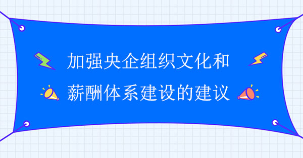 加強(qiáng)央企組織文化和薪酬體系建設(shè)的建議