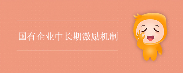 國(guó)有企業(yè)中長(zhǎng)期激勵(lì)機(jī)制