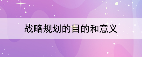 戰(zhàn)略規(guī)劃的目的和意義